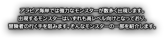 主な出現モンスター説明